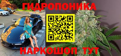 альфа пвп Гатчина