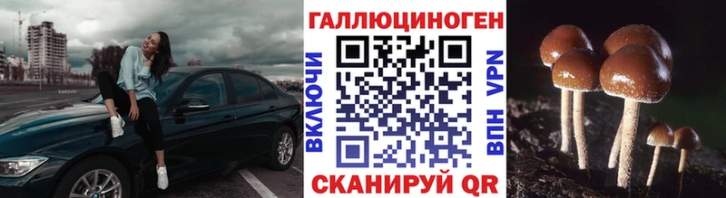 Псилоцибиновые грибы прущие грибы  Топки 