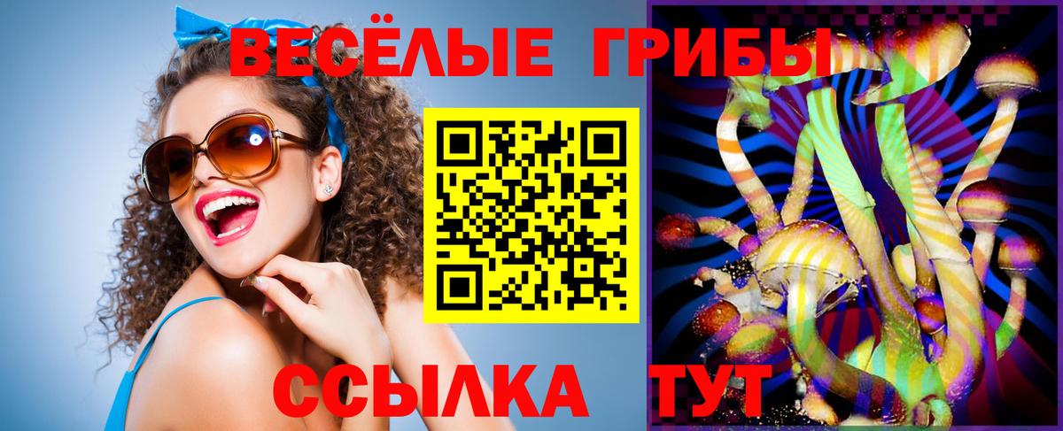 Галлюциногенные грибы Psilocybe Топки
